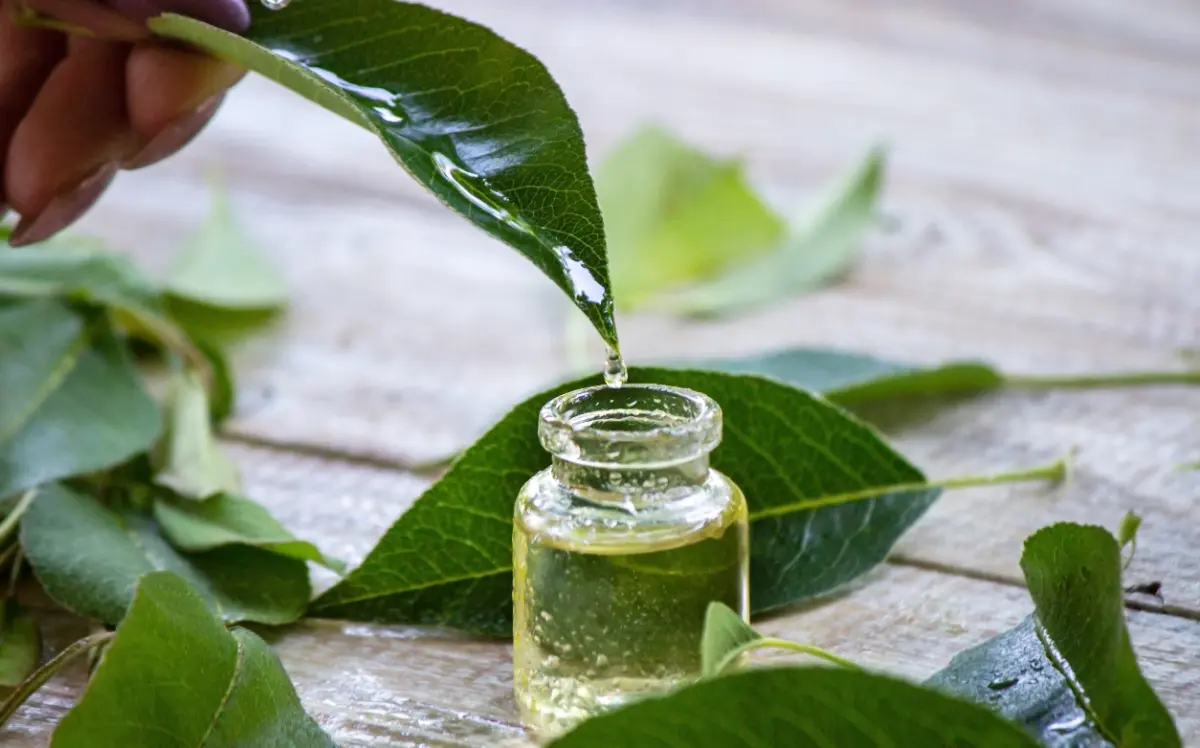 Natural Oils